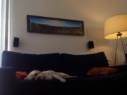 Panorama Picture Frames: My Personal iPhone and Samsung Camera Framed Artwork